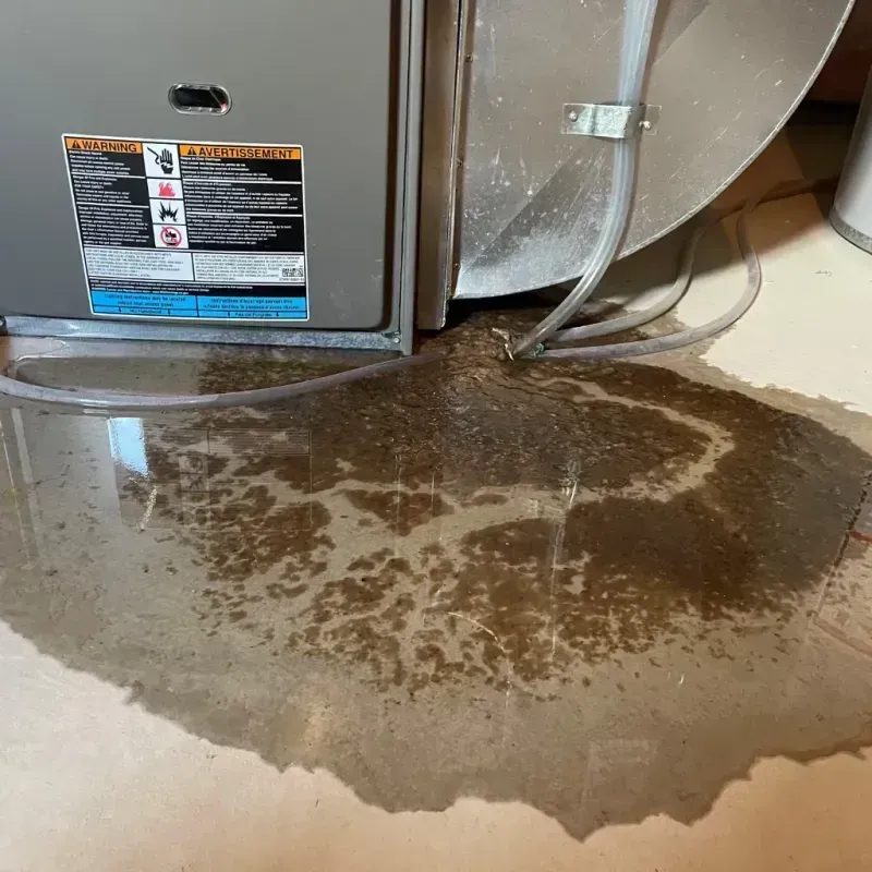 Appliance Leak Cleanup in Hawarden, IA